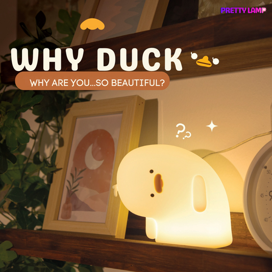 Why Duck Night Light